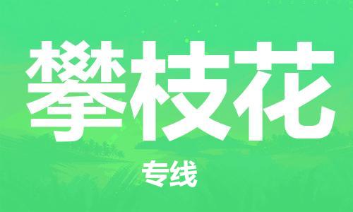 仪征市到攀枝花物流公司|仪征市到攀枝花物流专线|仪征市货运至攀枝花