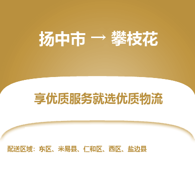 扬中市到攀枝花物流专线-扬中市至攀枝花整车零担运输公司